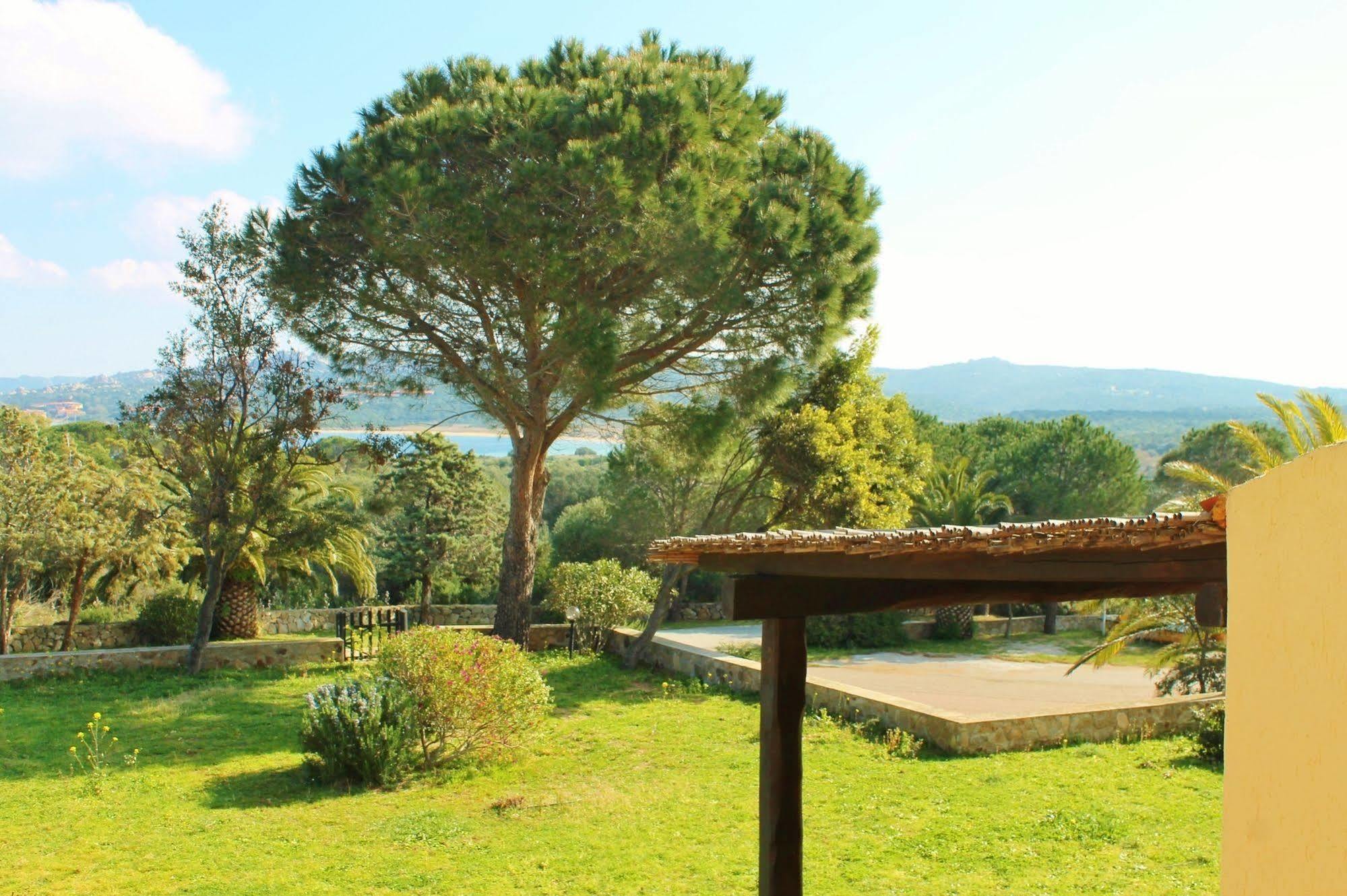 Residence Blue Corner Porto Pollo Palau Εξωτερικό φωτογραφία